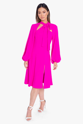 Vibrant Pink