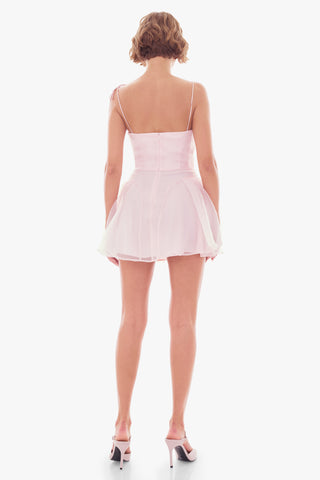 Carnation Pink