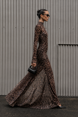 Leopard